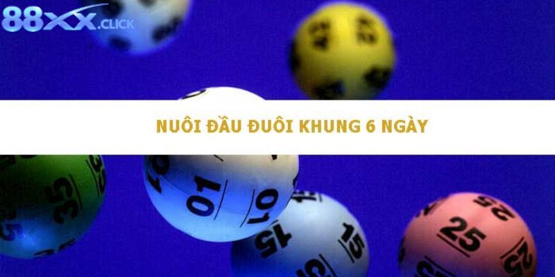 Nuôi Đầu Đuôi 6 Ngày 88XX
